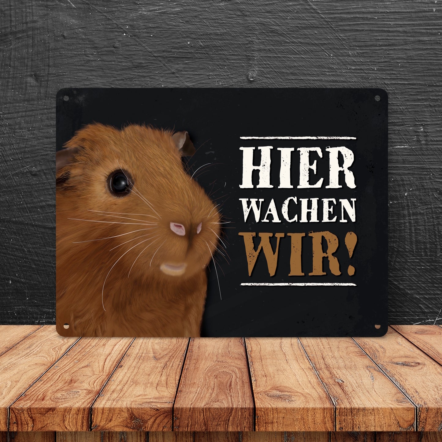 Hier wachen wir! Metallschild XL mit Meerschweinchen Motiv