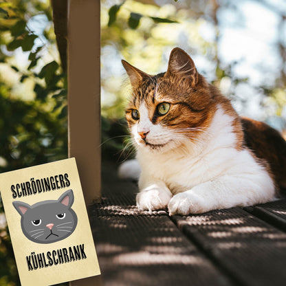 Schrödingers Kühlschrank Souvenir Magnet mit grimmiger Katze