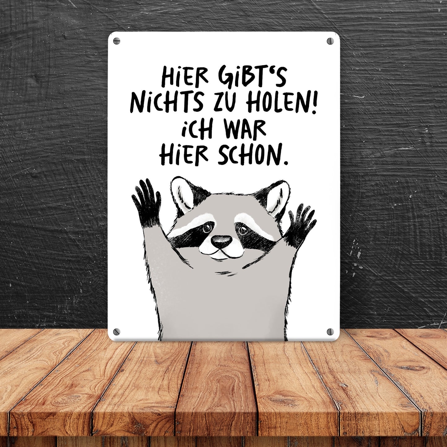 Waschbär Metallschild XL in 21x28 cm mit Spruch Hier gibts nichts zu holen