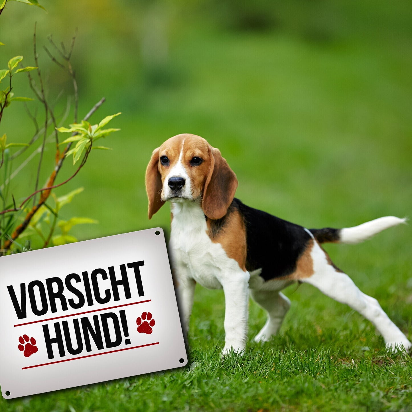 Vorsicht Hund! Metallschild mit Pfoten in rot