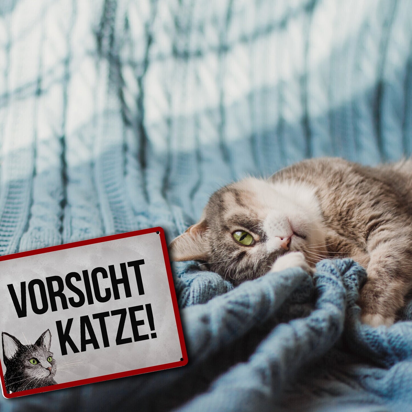 Metallschild XL mit Spruch: Vorsicht Katze