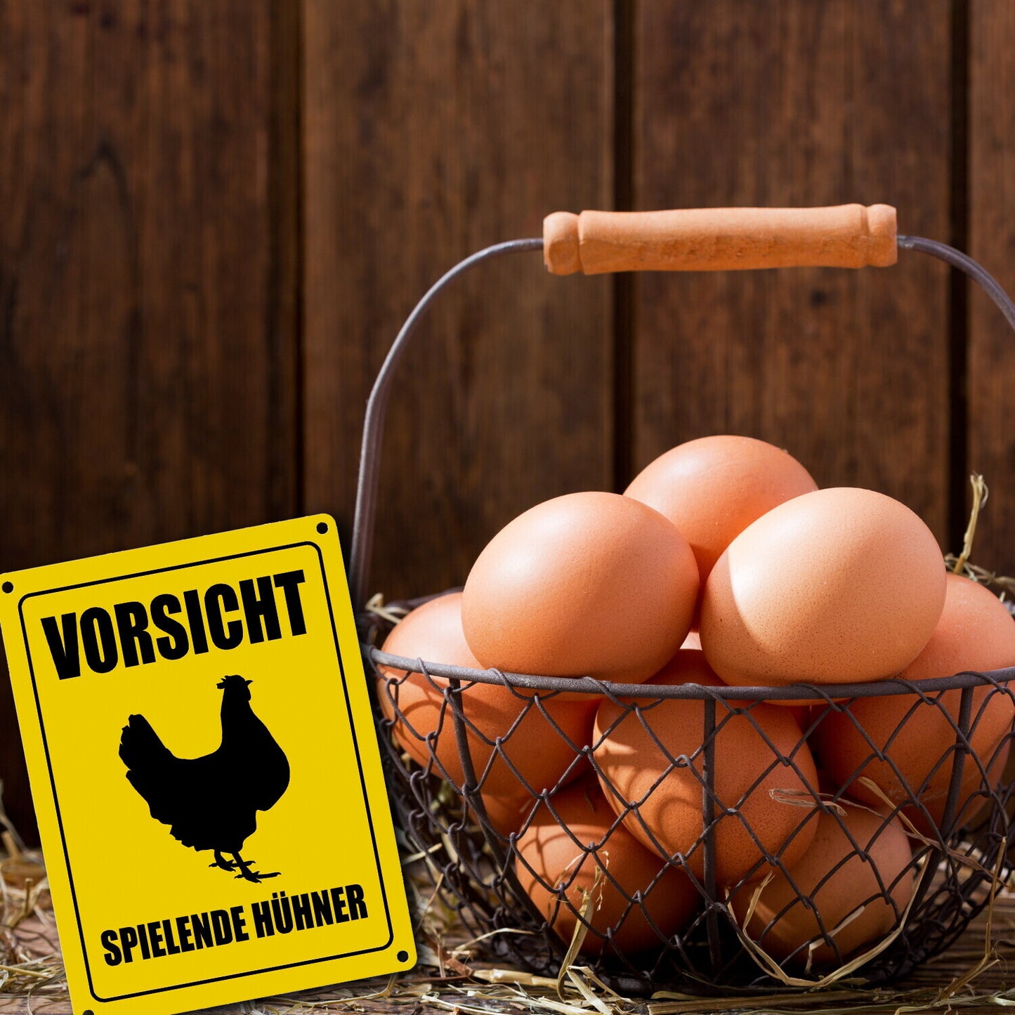 Vorsicht spielende Hühner Metallschild mit Huhn Motiv