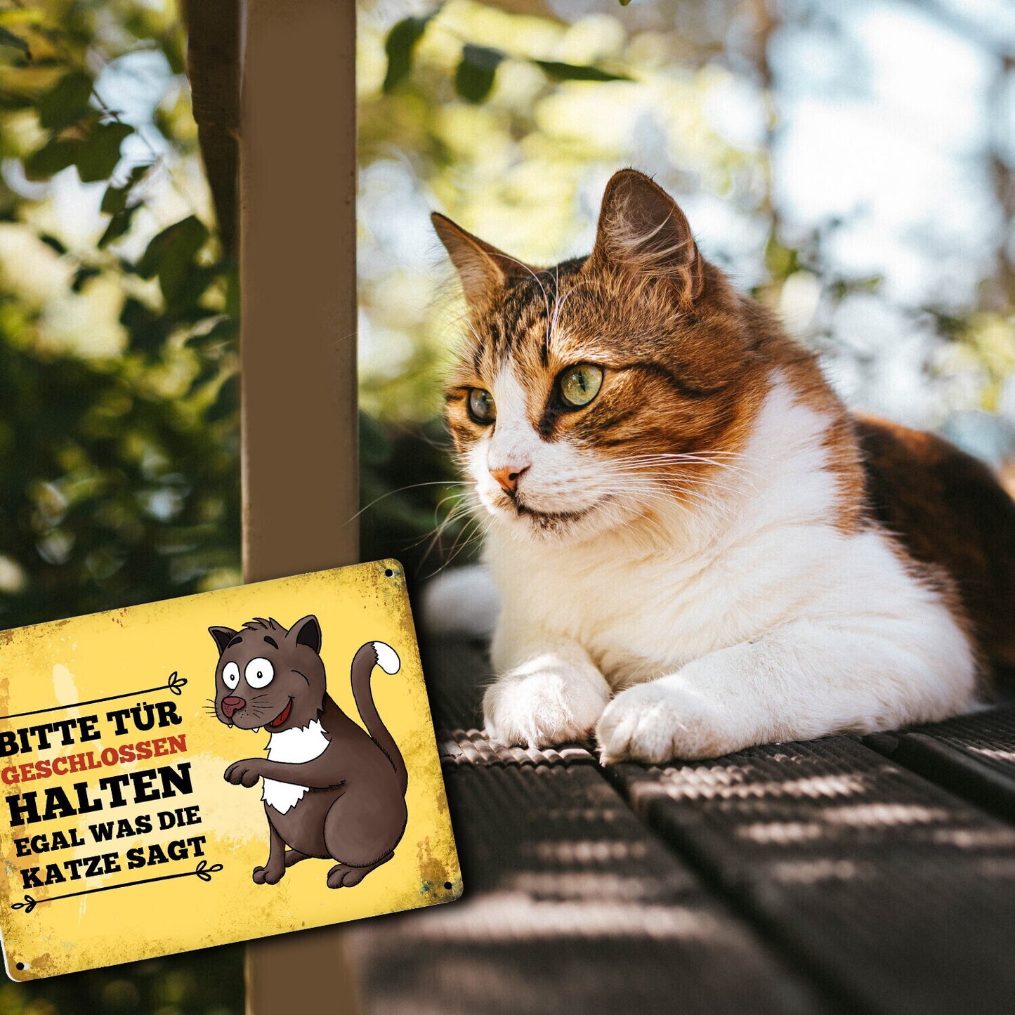 Metallschild XL mit Katze Motiv und Spruch: Bitte Tür geschlossen halten, ...