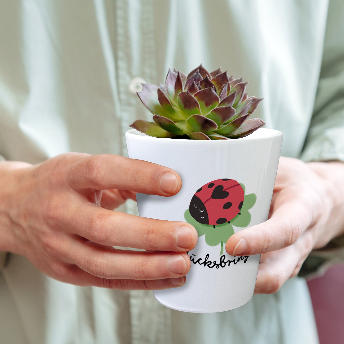 Glücksbringer Blumentopf mit Marienkäfer auf Kleeblatt