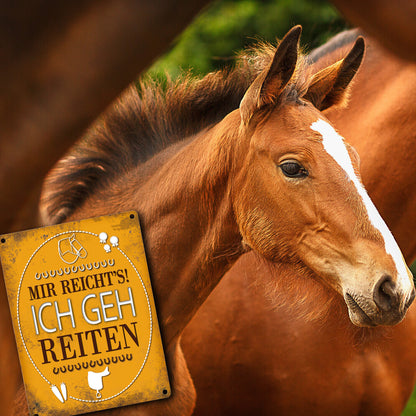 Metallschild mit Spruch: Mir reichts! Ich geh reiten