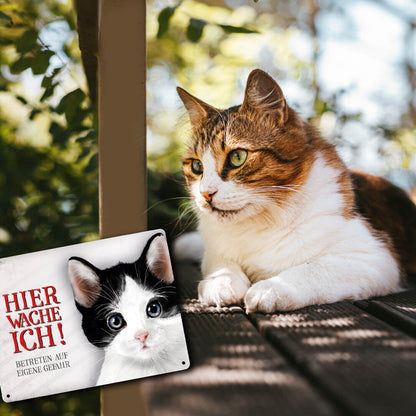 Metallschild XL mit Katze Motiv und Spruch: Betreten auf eigene Gefahr ...