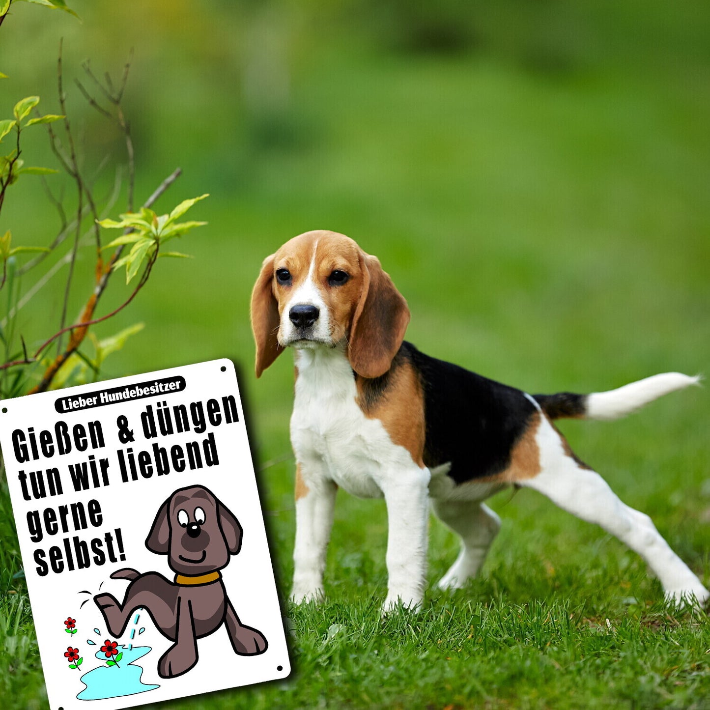 Gießen und düngen - Kein Hundeklo Schild in weiß