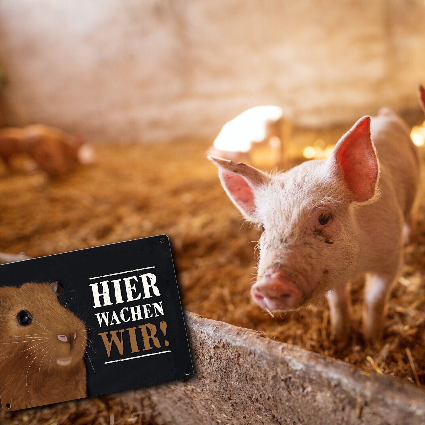 Metallschild mit Meerschweinchen Motiv und Spruch: Hier wachen wir!