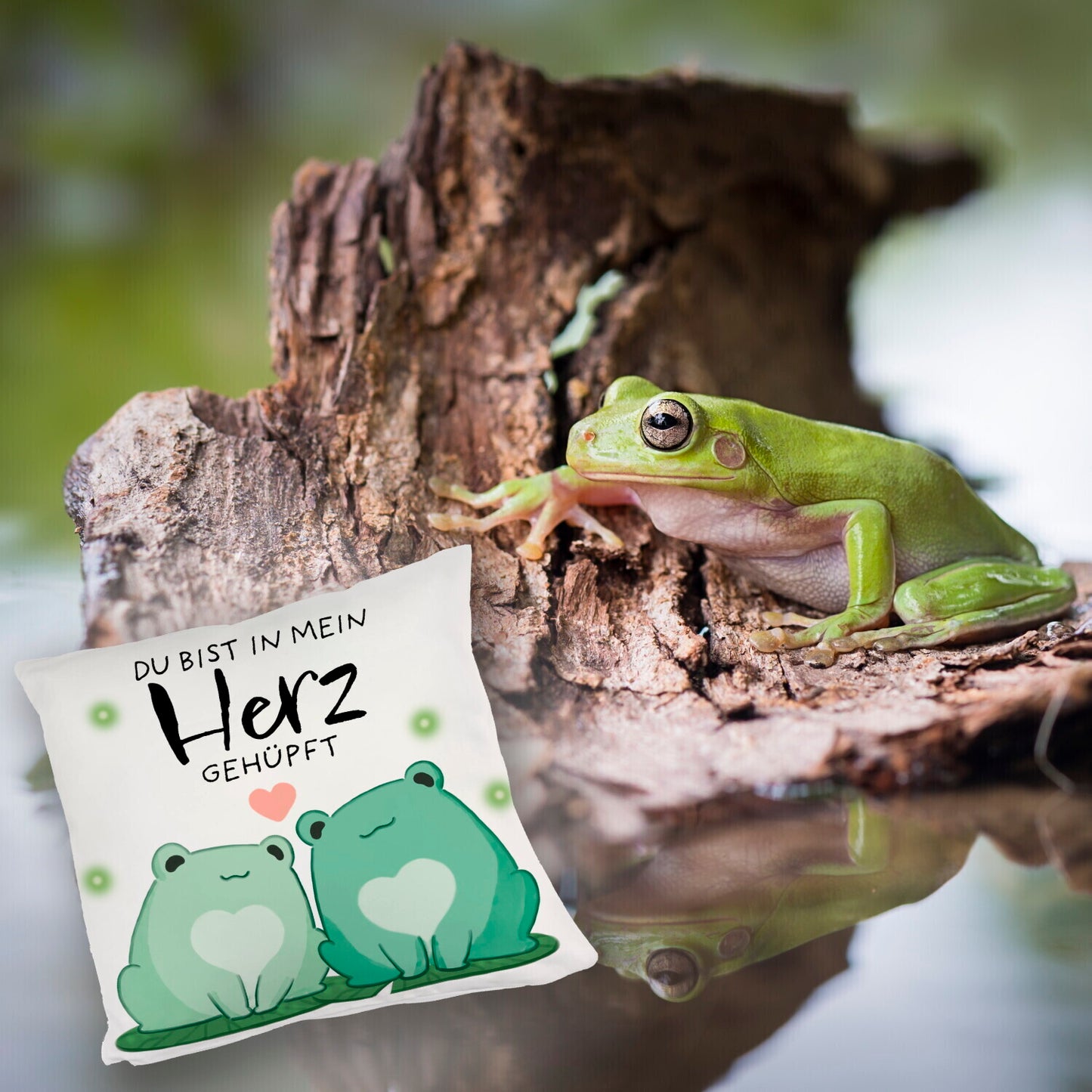 Frosch Kuschelkissen mit Spruch Du bist in mein Herz gehüpft