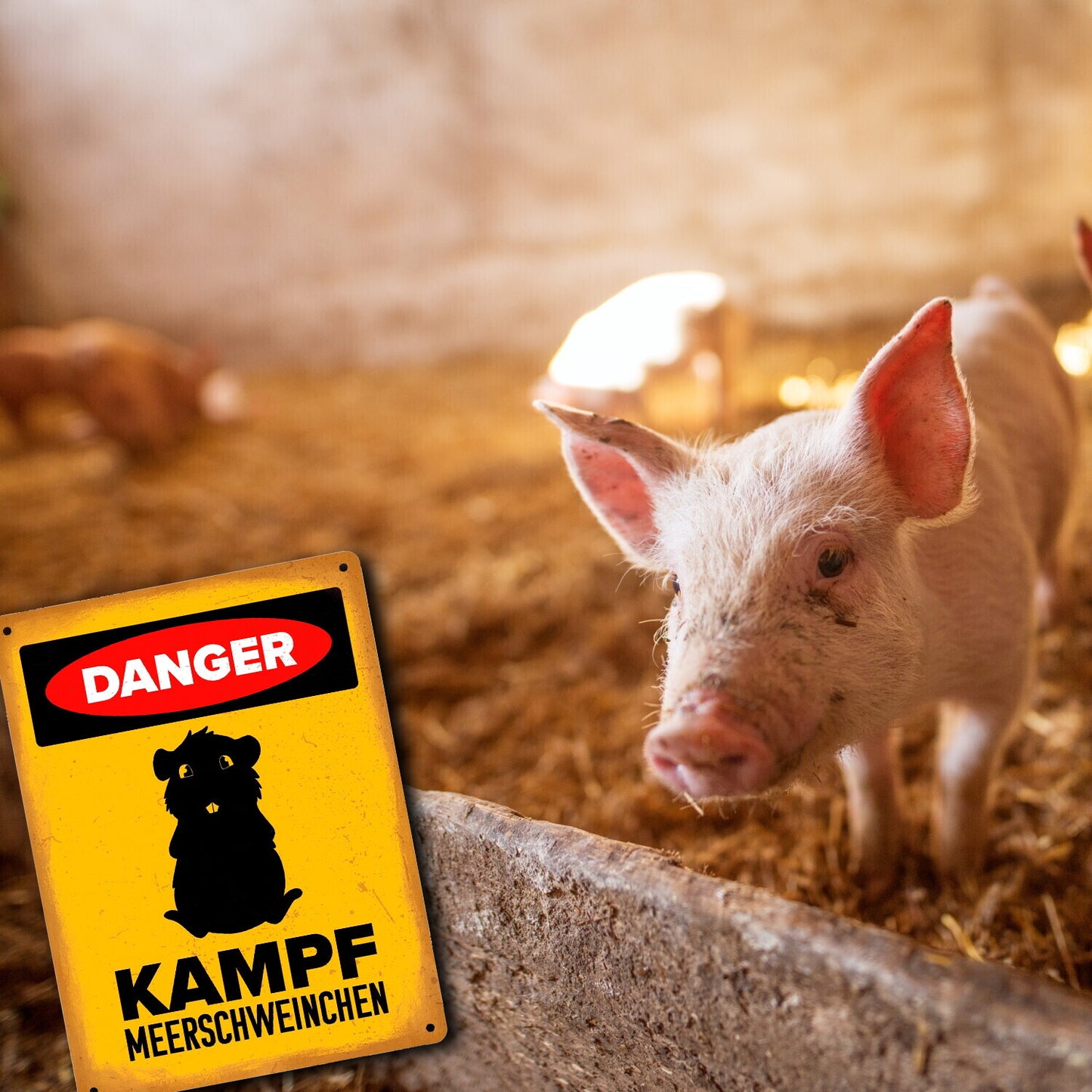 Danger Kampf Meerschweinchen Metallschild XL in 21x28 cm mit Meerschweinchen Silhouette