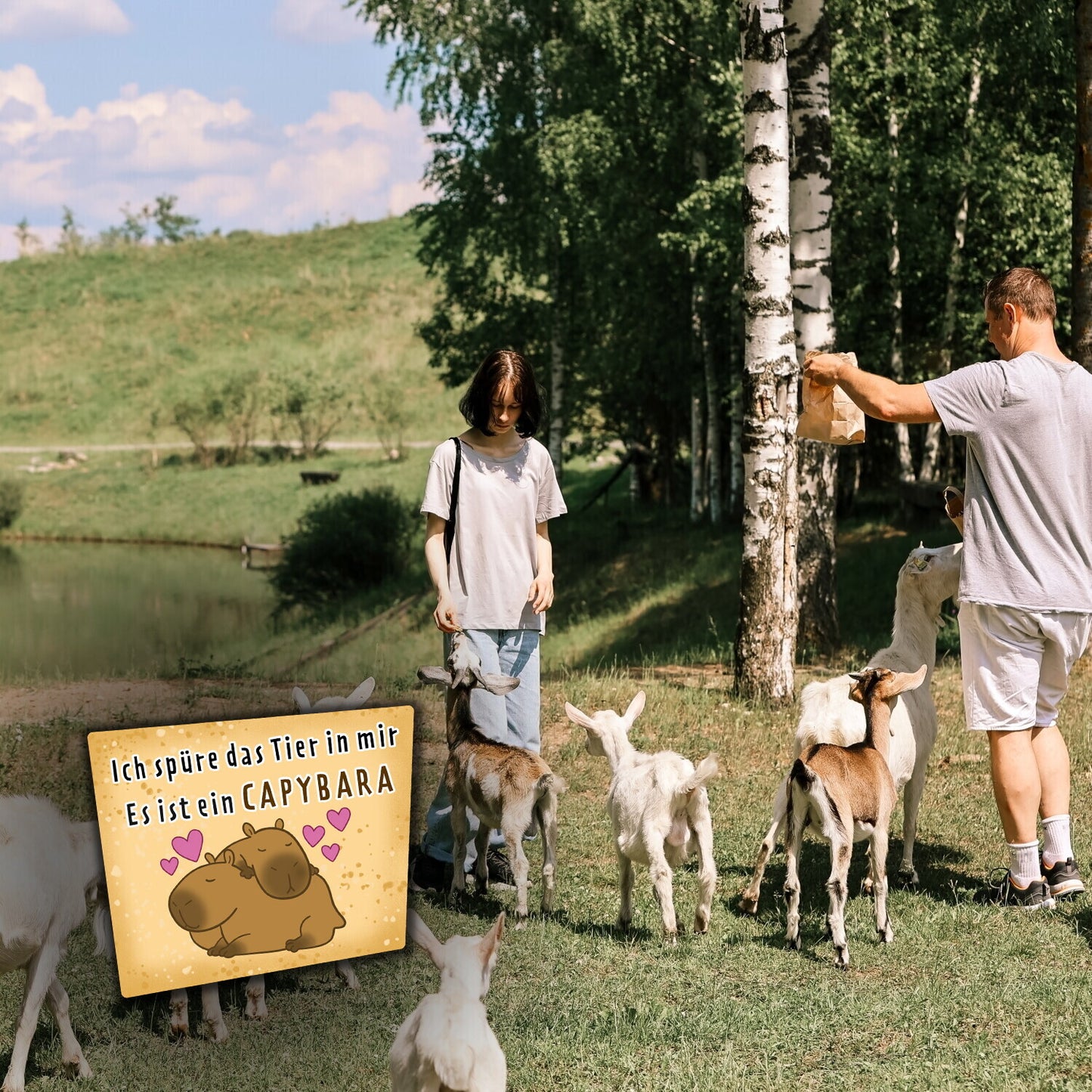 Capybara Magnet Set mit Spruch Dont worry be capy