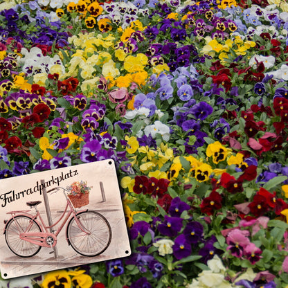 Fahrradparkplatz Metallschild in 15x20 cm mit rosa Drahtesel und Blumenkorb