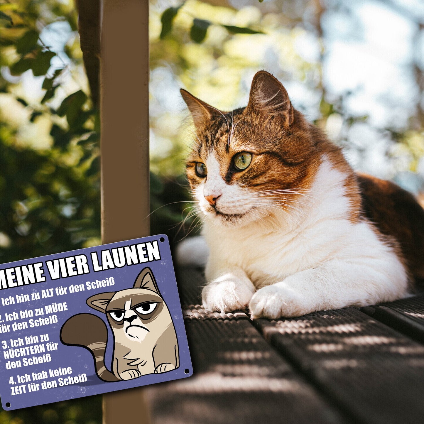 Meine vier Launen Metallschild mit grummeliger Katze