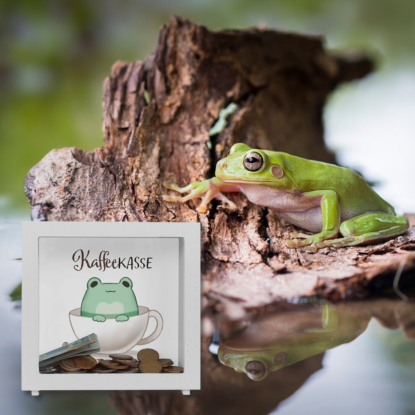 Frosch Rahmen Spardose aus Holz mit Spruch Kaffeekasse