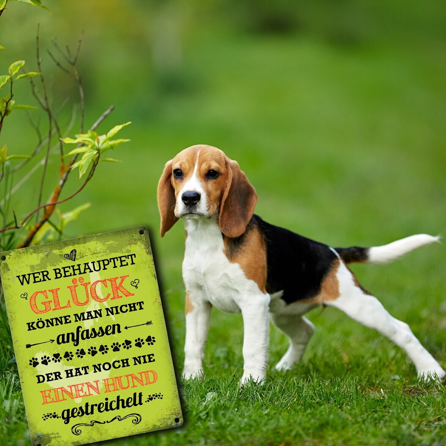 Metallschild mit Spruch: Hund streicheln ist Glück