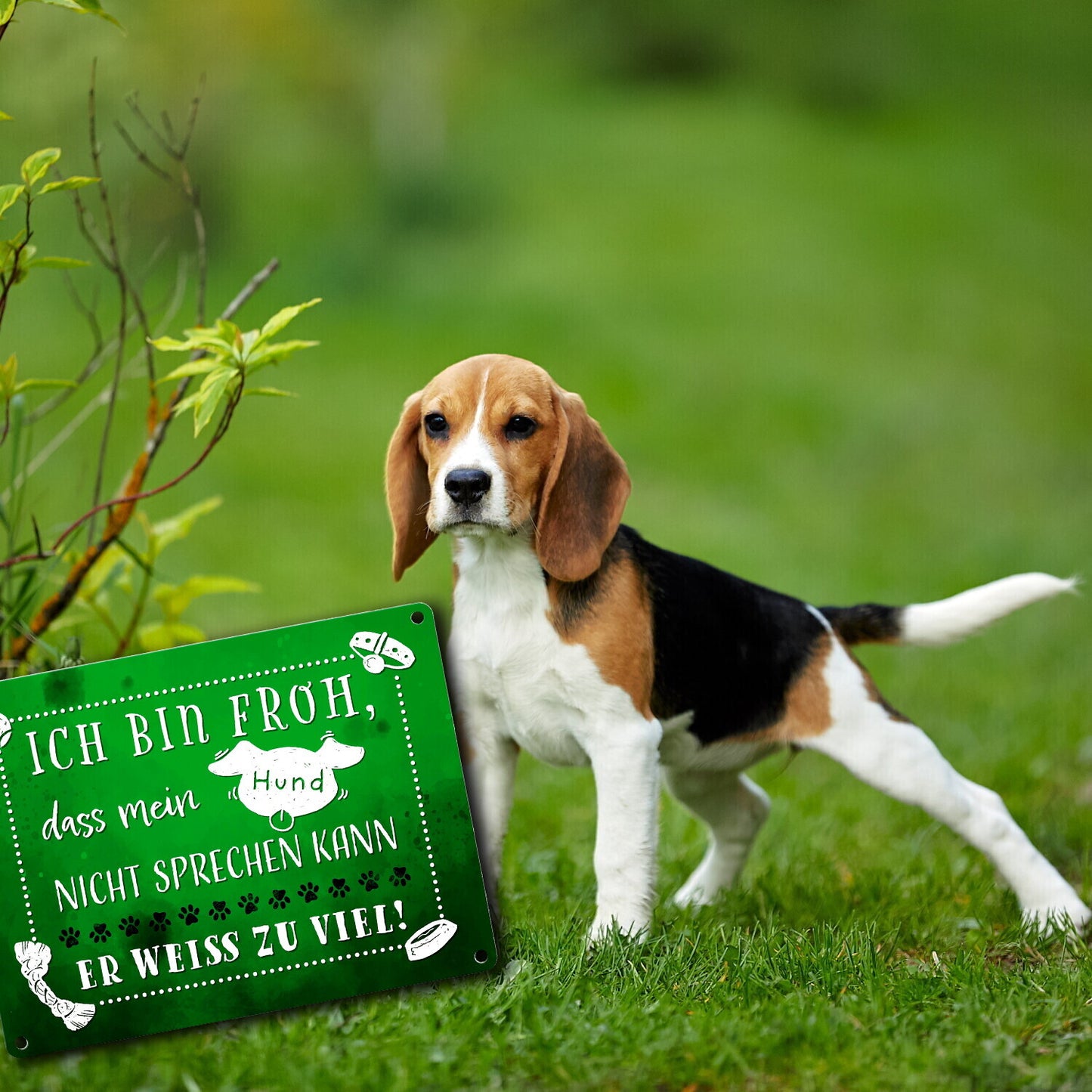 Metallschild in 15x20 cm mit lustigem Spruch - Mein Hund weiß zu viel