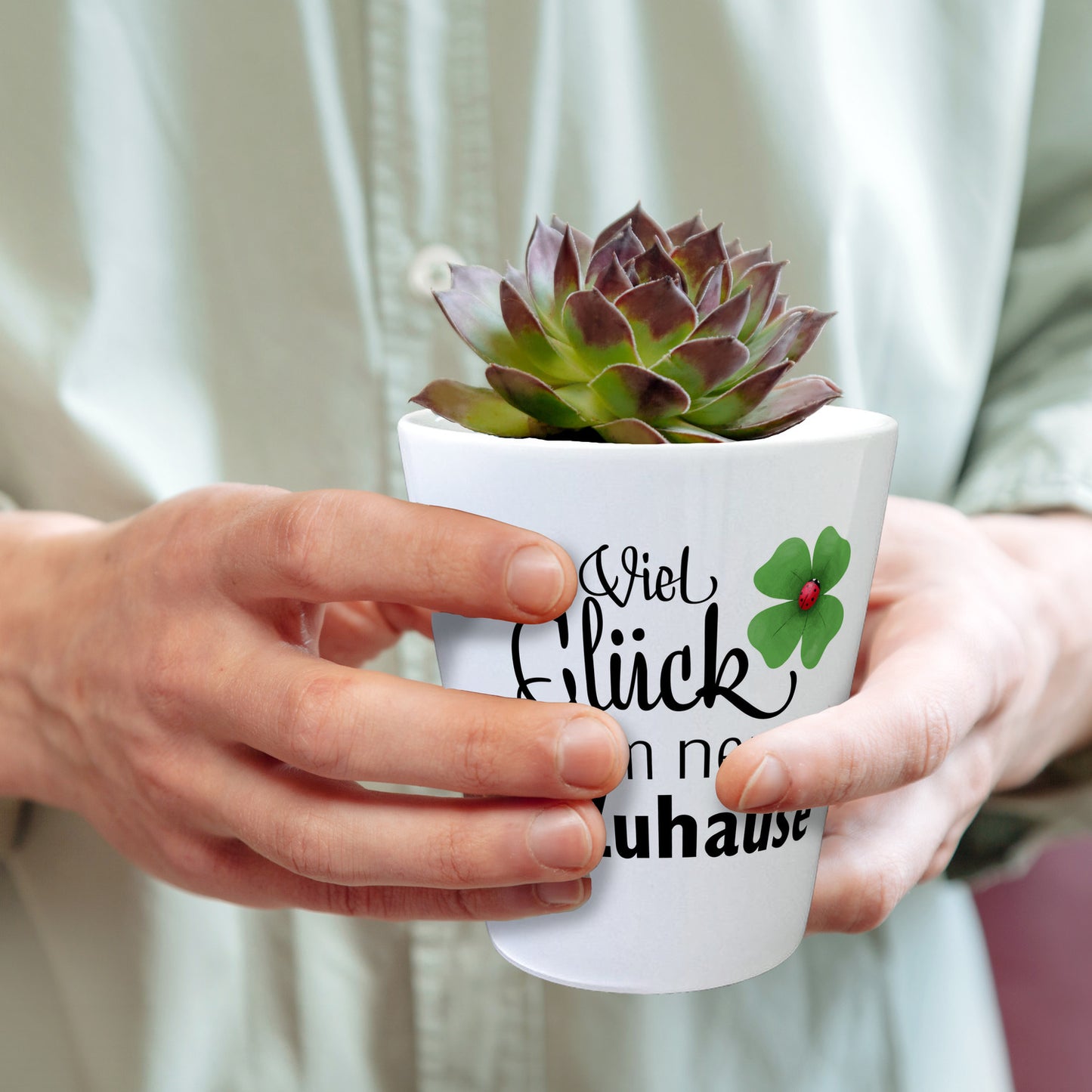 Kleeblatt mit Marienkäfer Blumentopf Viel Glück im neuen Zuhause