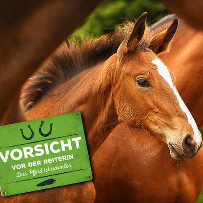 Metallschild XL mit Spruch: Vorsicht vor der Reiterin, ...