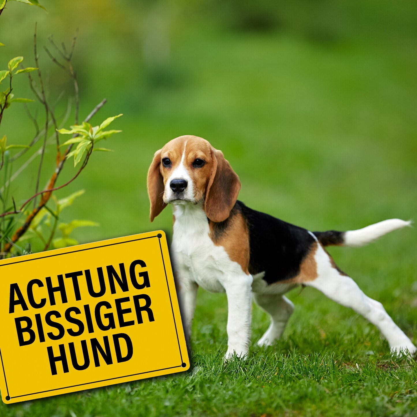 Achtung bissiger Hund Metallschild in gelb