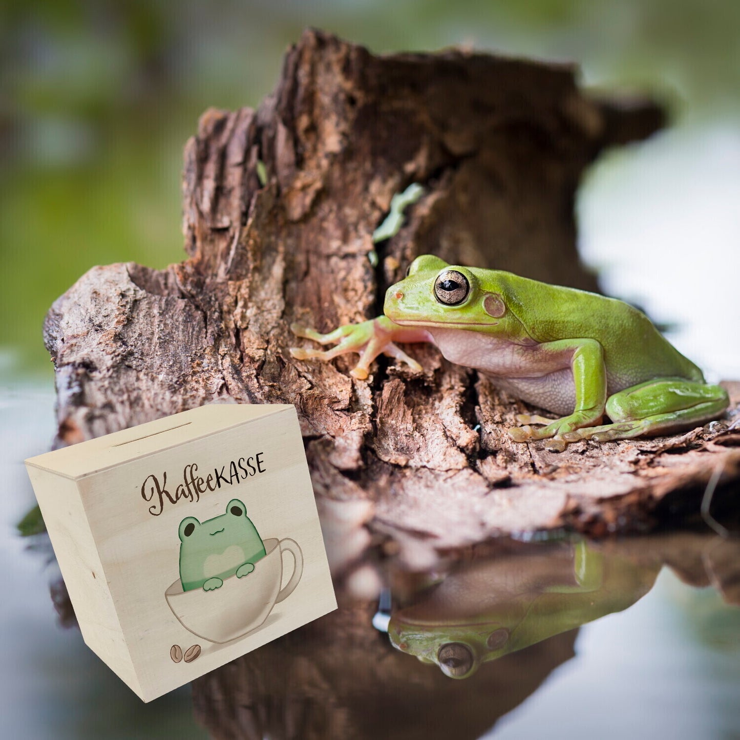 Frosch Spardose aus Holz mit Spruch Kaffeekasse