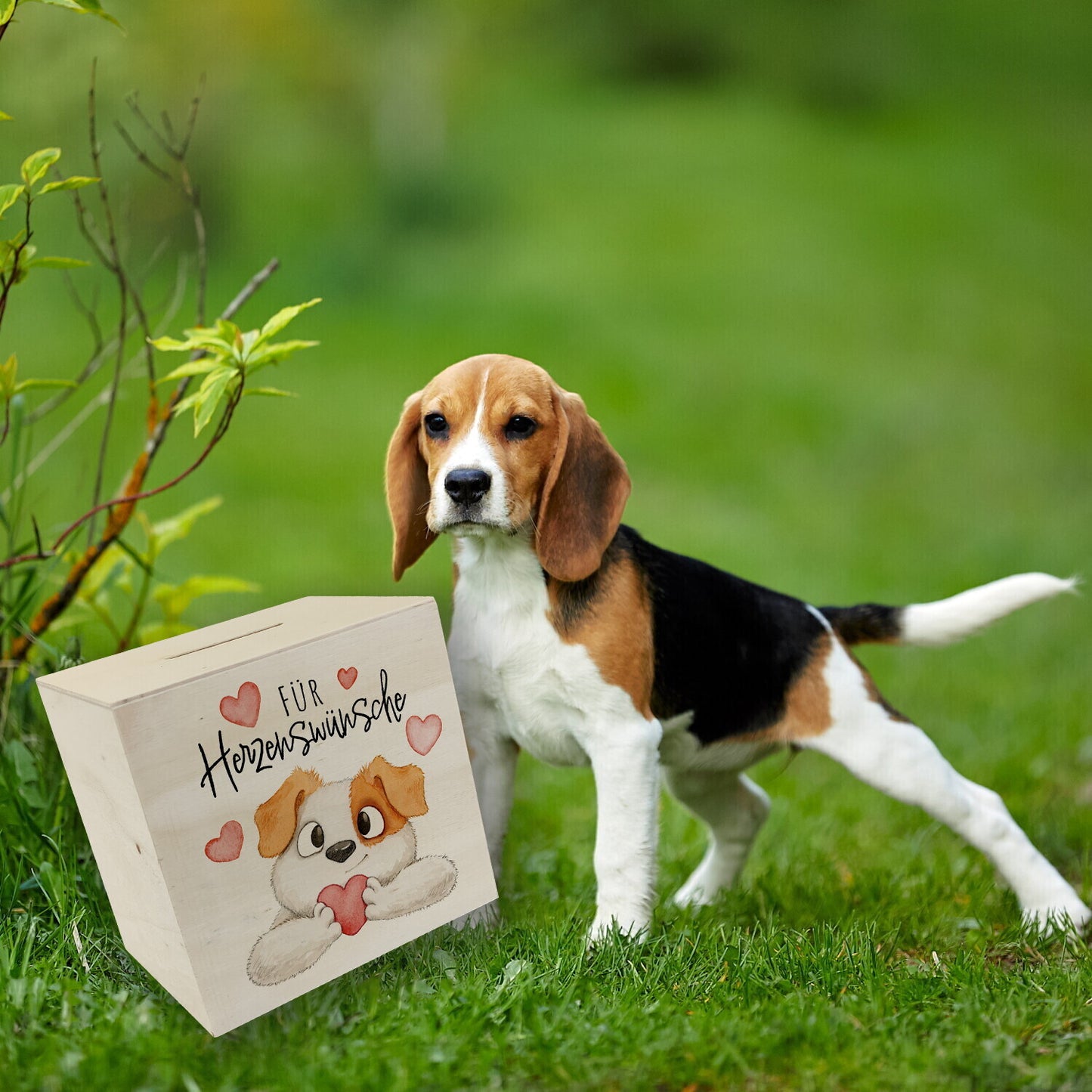 Hund Spardose aus Holz mit Spruch Für Herzenswünsche