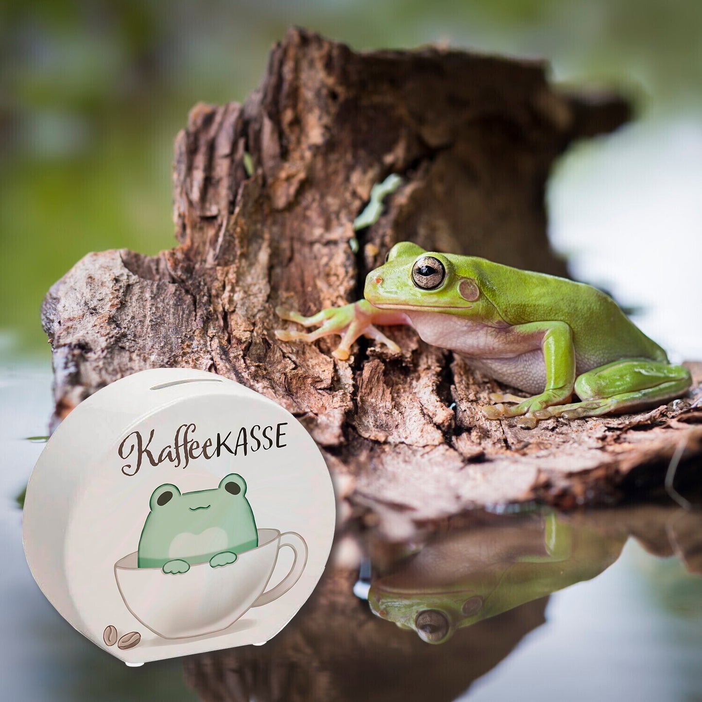 Frosch Spardose mit Spruch Kaffeekasse