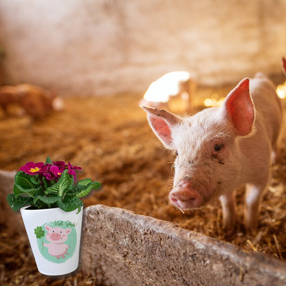 Glücksschwein Blumentopf mit Spruch Viel Glück