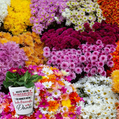 Trauzeugin Blumentopf mit Spruch Trauzeugin heute - ewig beste Freundin