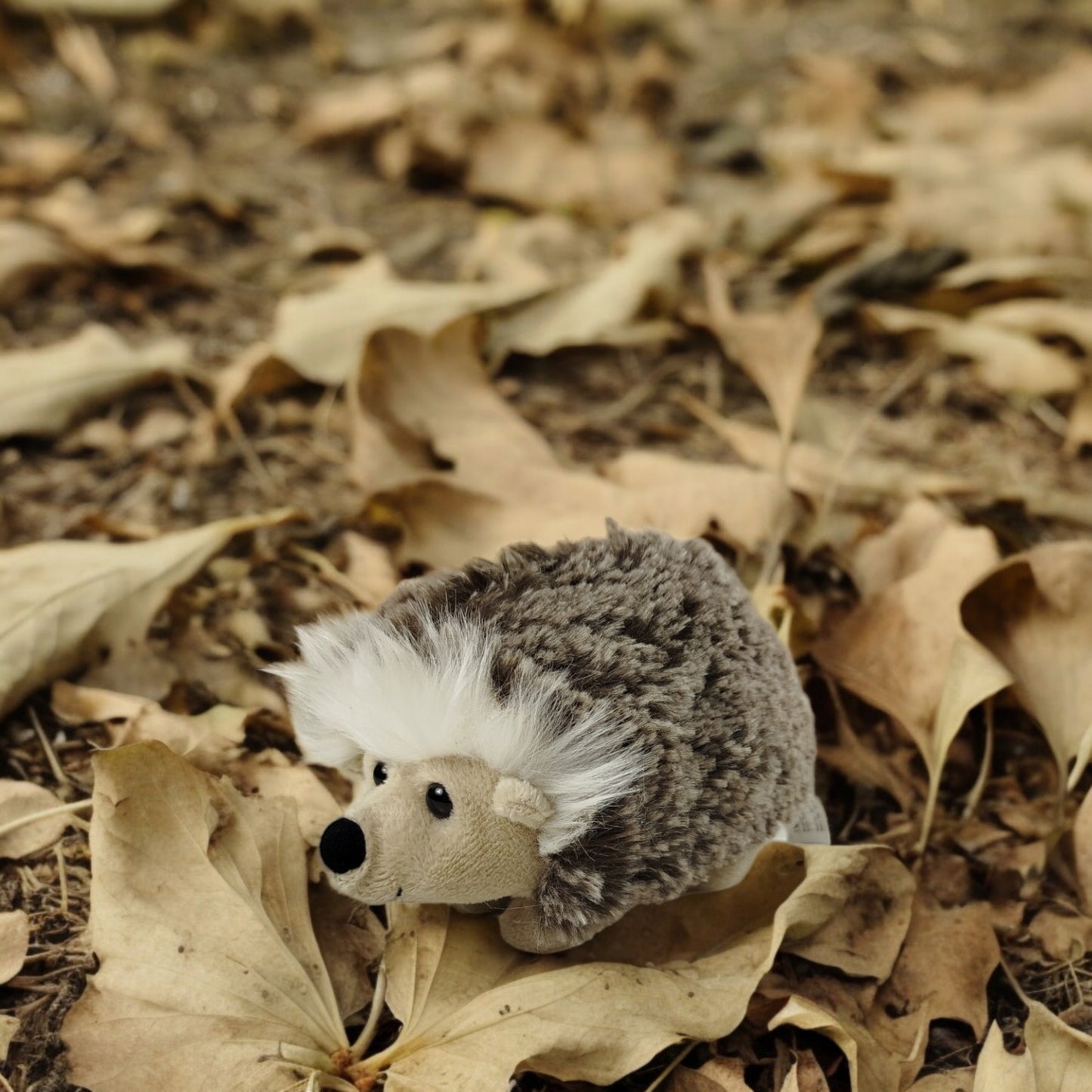 Igel Kuscheltier Herbstdeko Heimische Tierwelt Stofftier