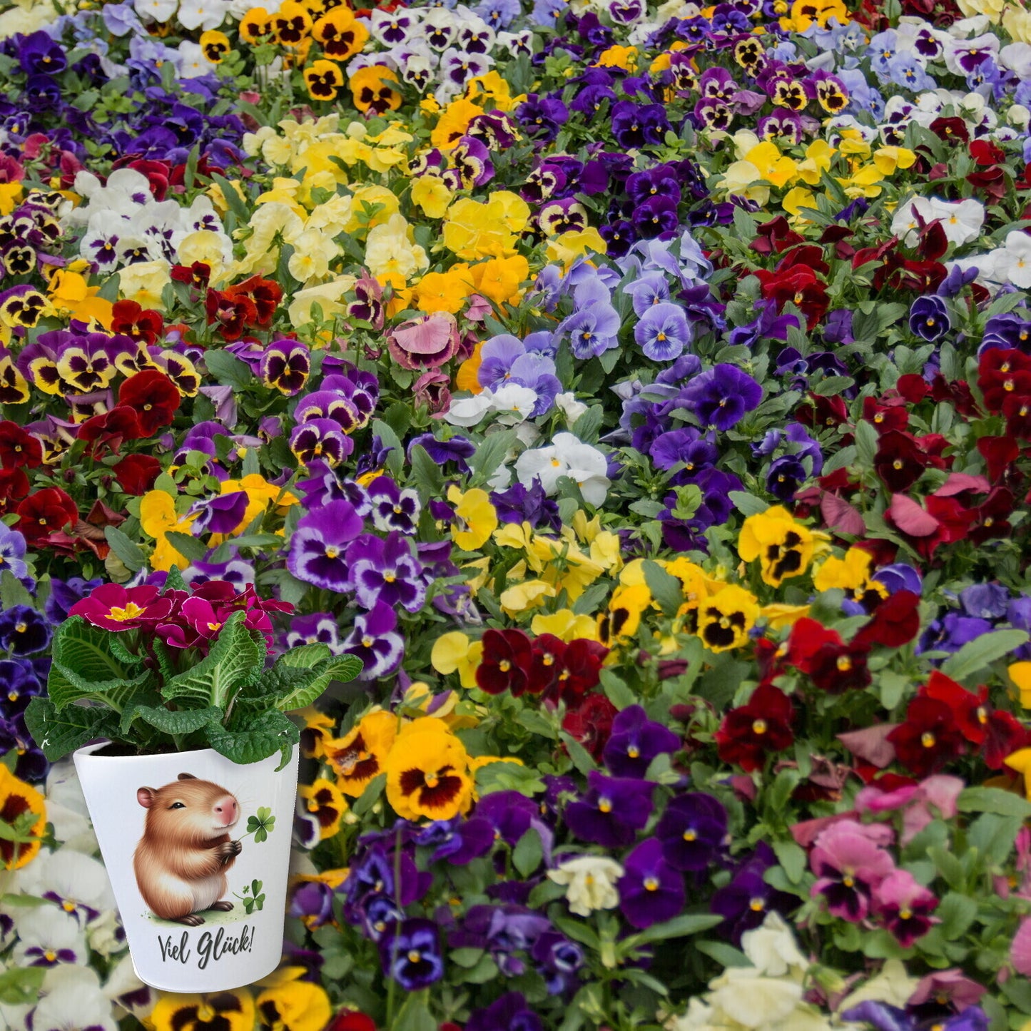 Capybara mit Kleeblatt Blumentopf mit Spruch Viel Glück