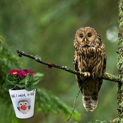 Eule Blumentopf mit Spruch Owl I need is You