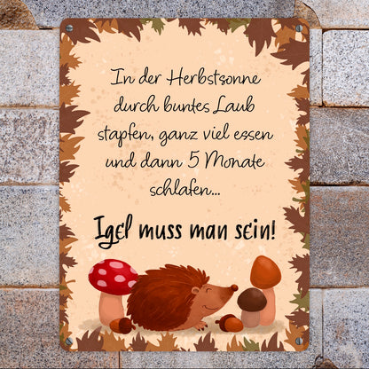 Winterschlaf Herbst Metallschild XL in 21x28 cm mit Spruch - Igel muss man sein