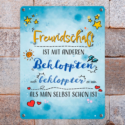 Metallschild in 15x20 cm mit lustigem Spruch zu Freundschaft