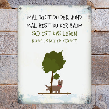 Metallschild XL mit Spruch: Mal bist du der Hund, mal ...