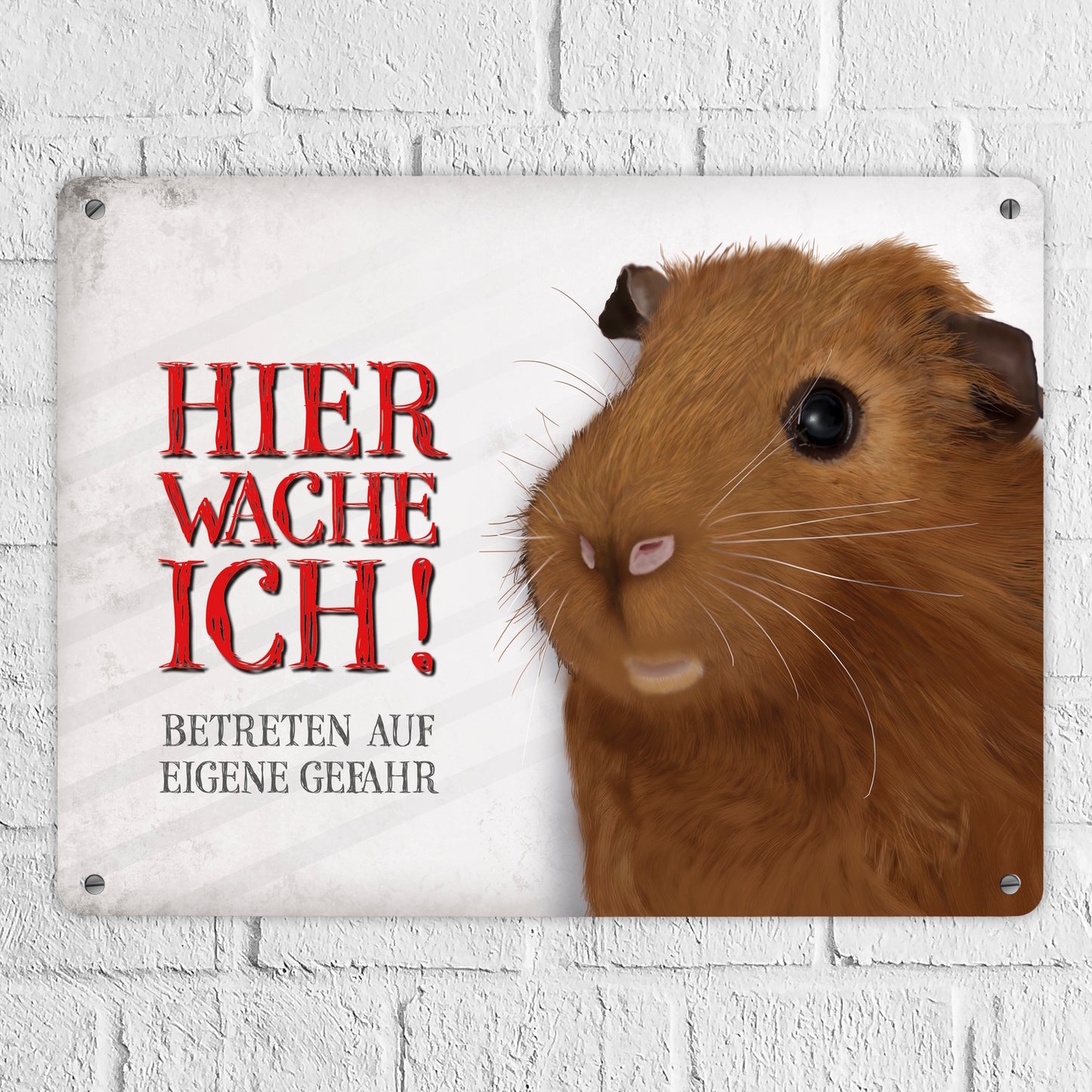 Metallschild XL mit Meerschweinchen Motiv und Spruch: Betreten auf eigene Gefahr ...