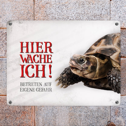 Metallschild mit Schildkröte Motiv und Spruch: Betreten auf eigene Gefahr ...