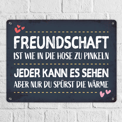 Metallschild XL mit Herz Motiv und Spruch: Freundschaft ist wie in die ...