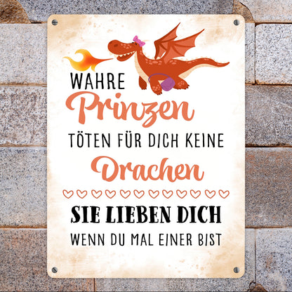 Prinzen töten keine Drachen Metallschild XL in 21x28 cm zum Valentinstag