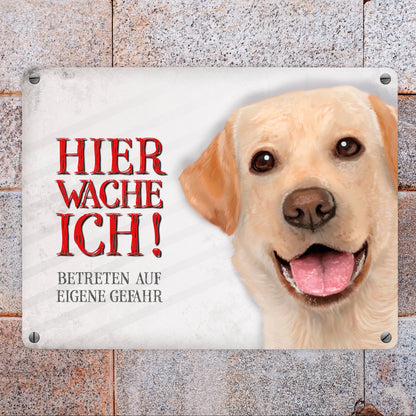 Metallschild mit Labrador Motiv und Spruch: Betreten auf eigene Gefahr ...