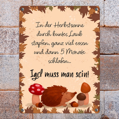 Winterschlaf Herbst Metallschild in 15x20 cm mit Spruch - Igel muss man sein