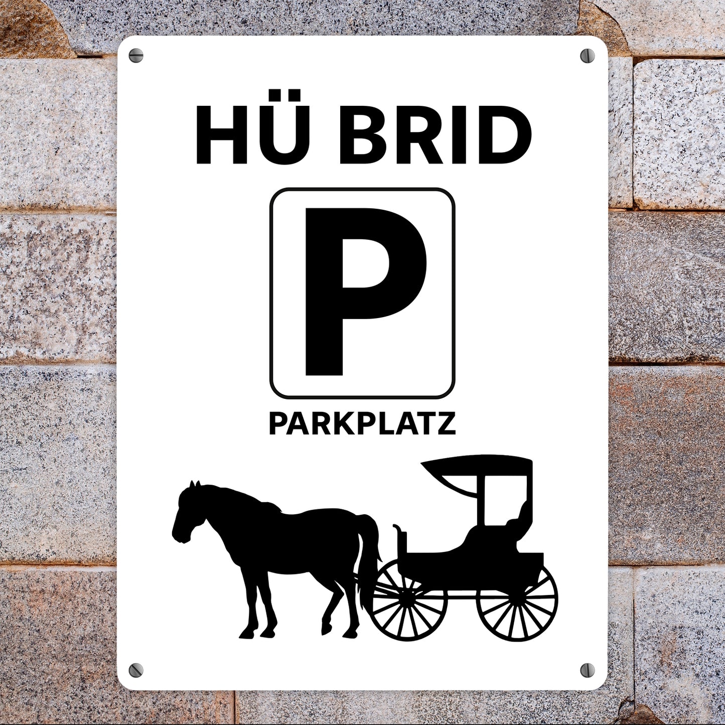 Pferd mit Kutsche Metallschild XL in 21x28 cm mit Spruch Hü brid