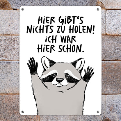 Waschbär Metallschild XL in 21x28 cm mit Spruch Hier gibts nichts zu holen