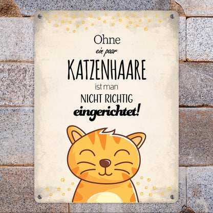 Metallschild XL mit Spruch: Ohne ein paar Katzenhaare ...