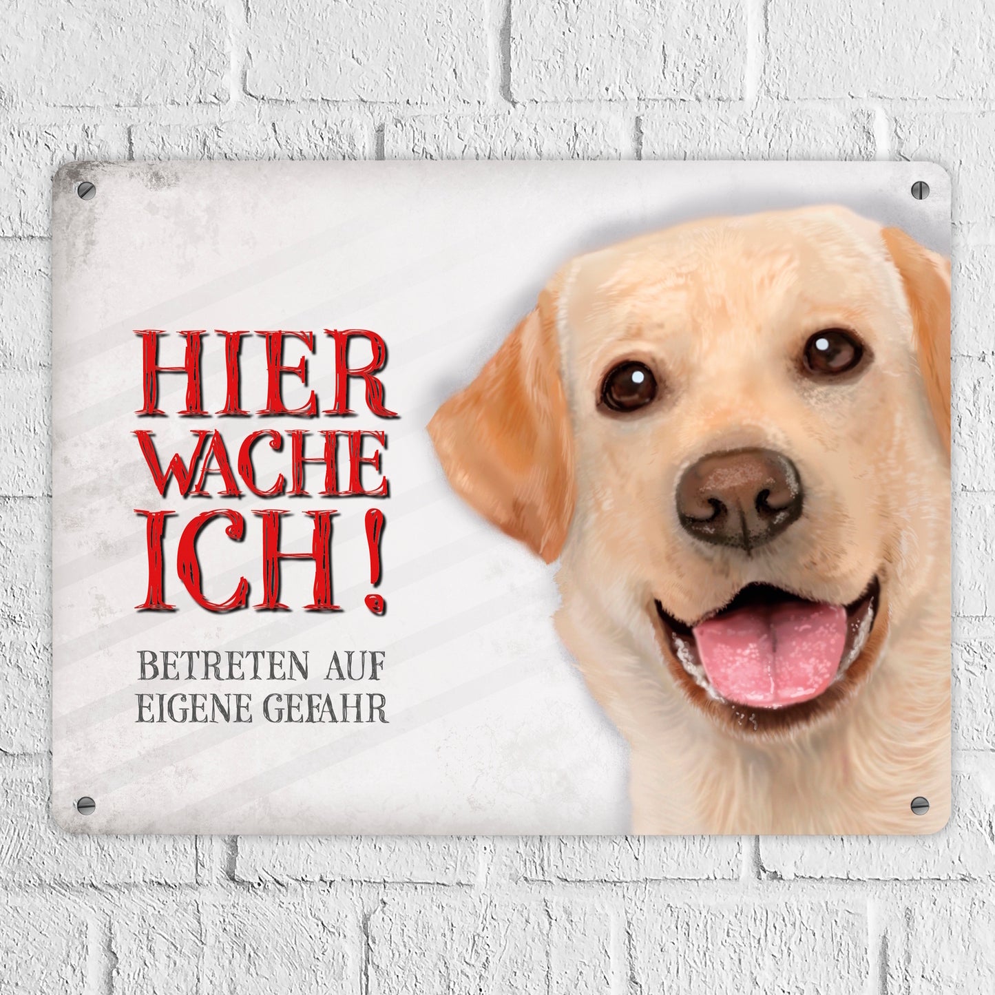 Metallschild XL mit Labrador Motiv und Spruch: Betreten auf eigene Gefahr ...