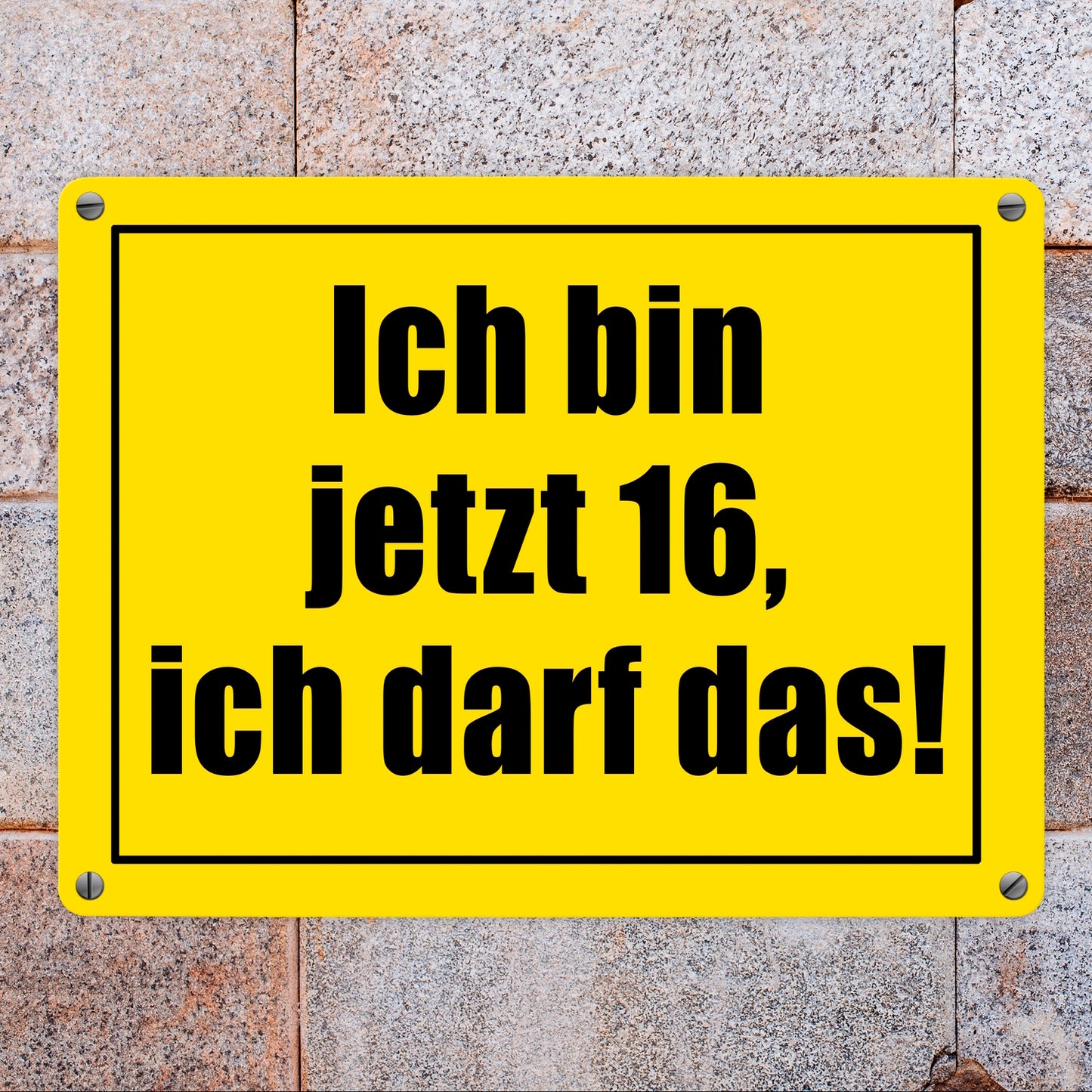 Warnschild Metallschild in 15x20 cm mit Spruch Ich bin jetzt 16 ich darf das