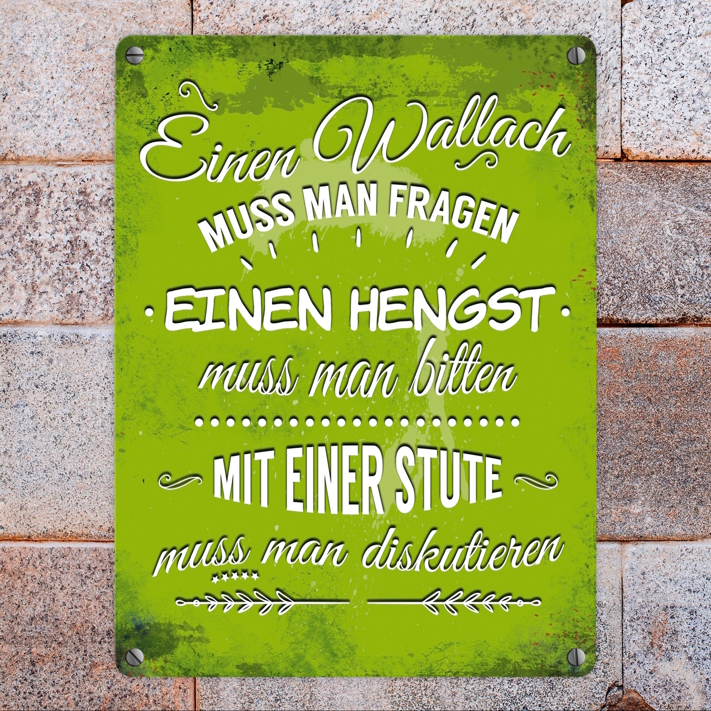 Metallschild mit Reiter Motiv und Spruch: Einen Wallach muss man fragen, ...