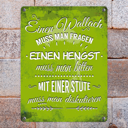 Metallschild mit Reiter Motiv und Spruch: Einen Wallach muss man fragen, ...