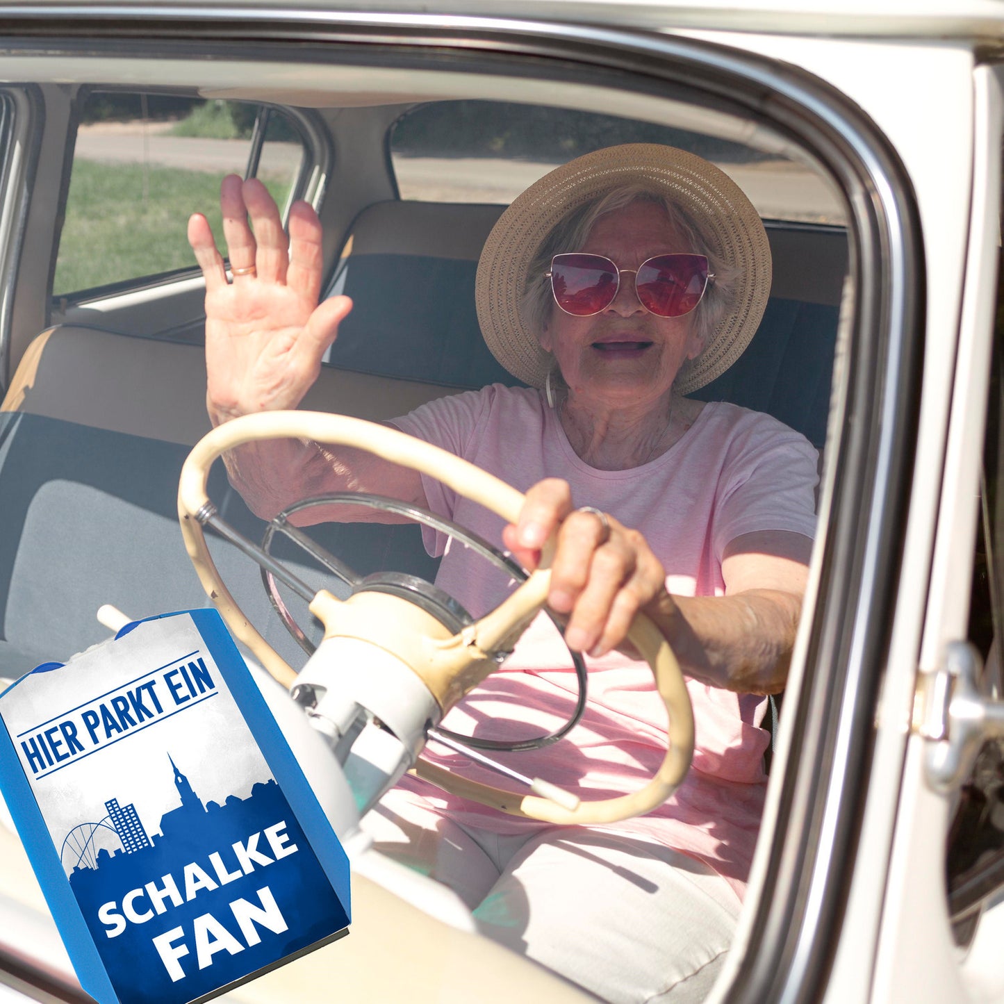 Hier parkt ein Schalke Fan Parkscheibe in Vereinsfarben